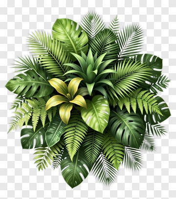 Tropical Leaves And Yellow Flower PNG