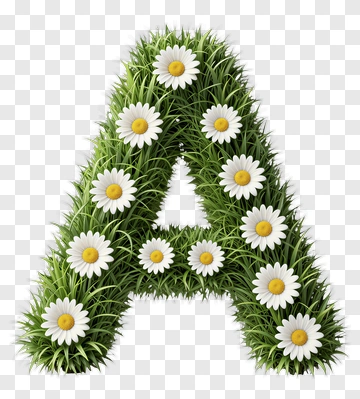 Letter A Made Of Grass And Daisies PNG