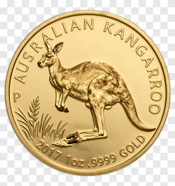 Australian Kangaroo Gold Coin 2017 PNG