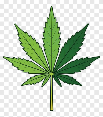 Marijuana Leaf PNG