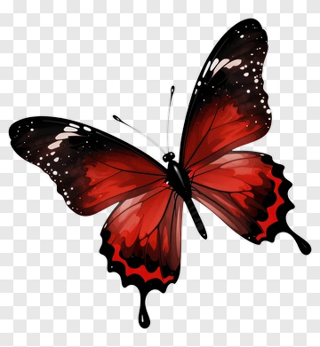 Red And Black Butterfly PNG