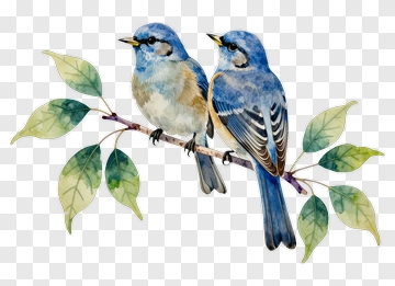 Two Blue Birds On A Branch PNG