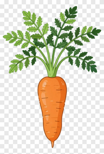 Carrot With Green Leaf PNG
