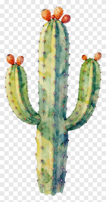 Watercolor Cactus With Orange Fruits PNG