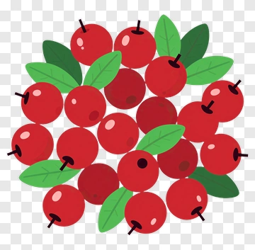 Cluster Of Red Berries With Green Leaves PNG
