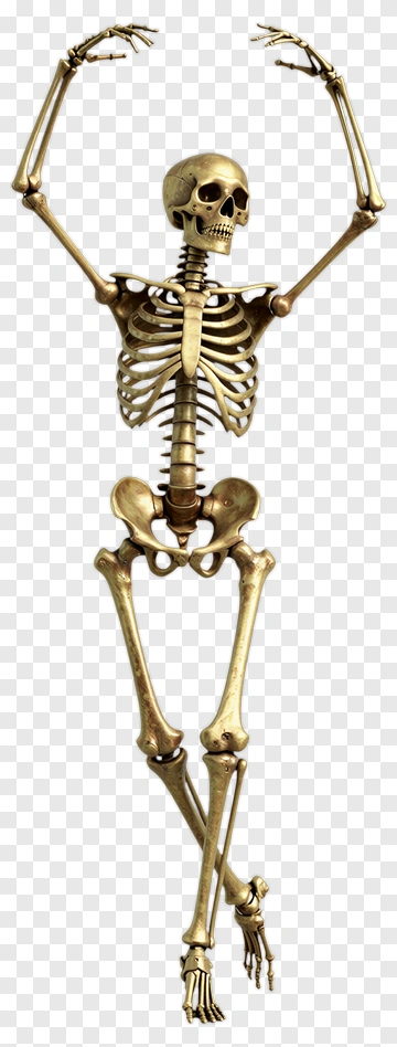 Gold Skeleton Dancing PNG