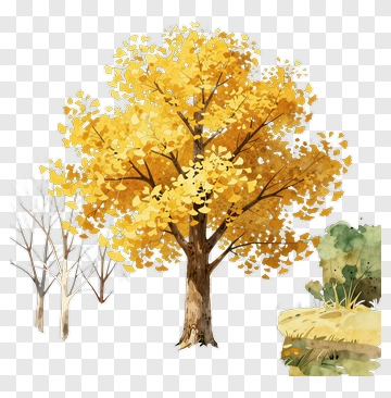 Golden Tree In Autumn PNG