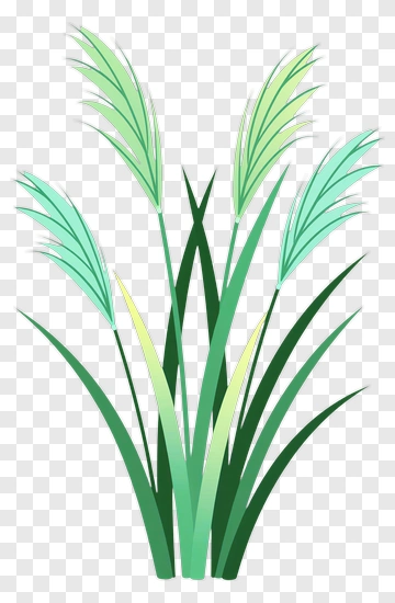 Green Grass Plants PNG