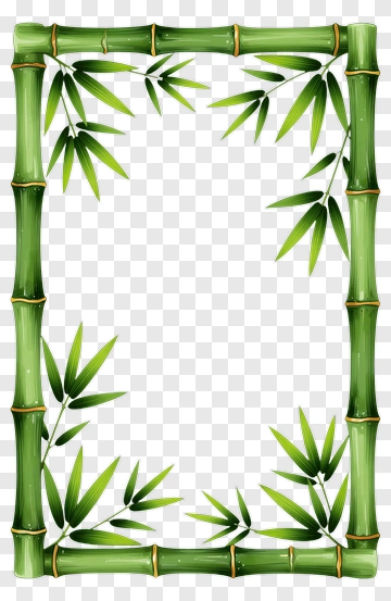 Bamboo Frame With Leaves PNG