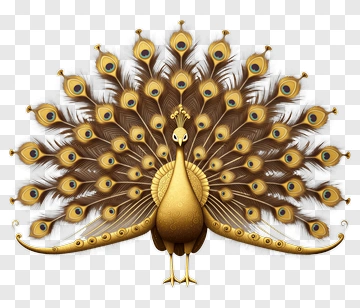 Golden Peacock With Eye Spots PNG