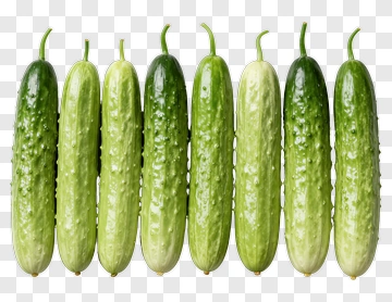 Fresh Cucumber PNG