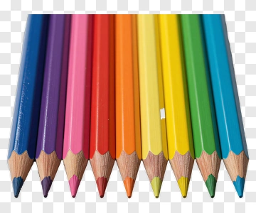 Color Pencils Arranged In Rainbow Order PNG