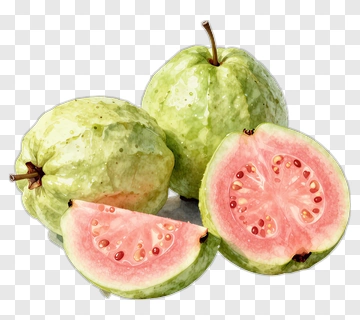 Fresh Guava Fruit PNG