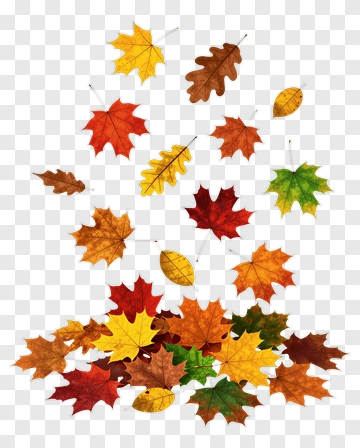 Falling Autumn Leaves PNG