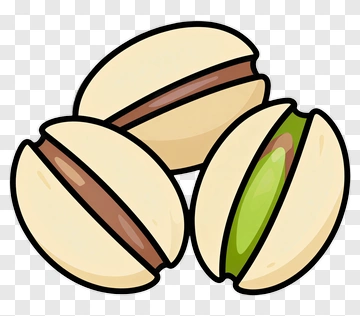 Pistachio PNG