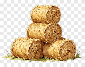 Stack Of Hay Bale PNG