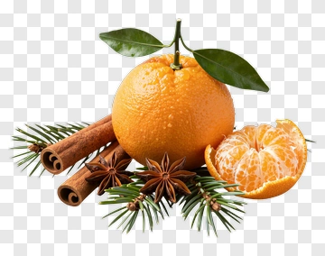 Fresh Orange With Spices And Pine PNG