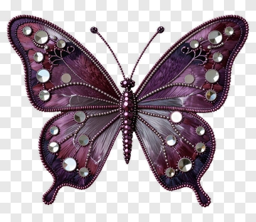 Embroidered Butterfly With Rhinestone Accents PNG