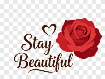 Stay Beautiful With Red Rose PNG