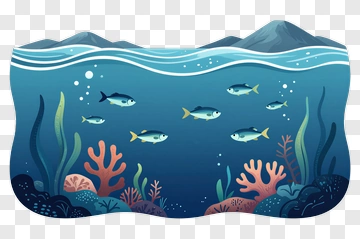Underwater Scene With Fish And Coral PNG