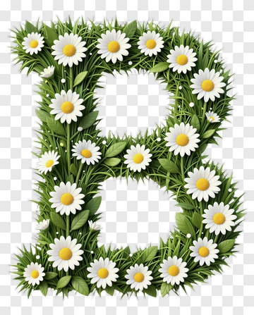 Letter B With Daisy Flowers And Grass PNG