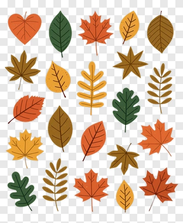 Collection Of Autumn Leaves PNG
