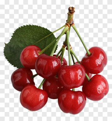 Cluster Of Fresh Red Cherries With Leaf PNG
