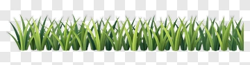 Green Grass Border PNG