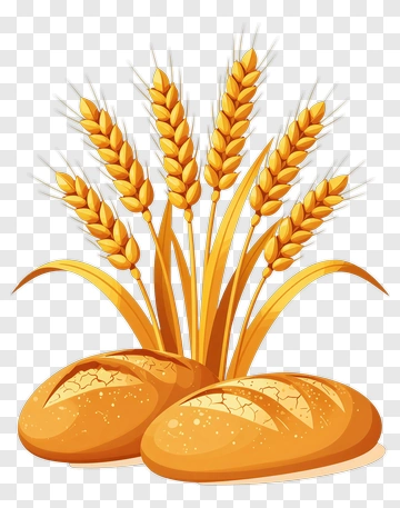 Golden Wheat And Fresh Bread PNG