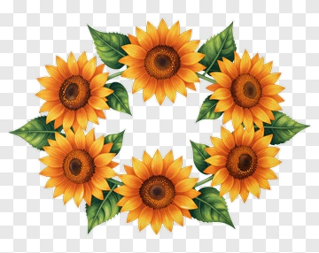 Sunflower Circle PNG