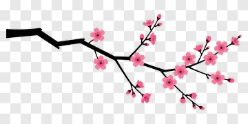 Cherry Blossom Branch With Pink Flowers PNG