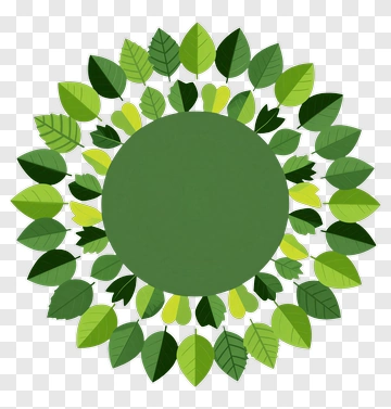 Circular Leaf Design With Green Circle PNG