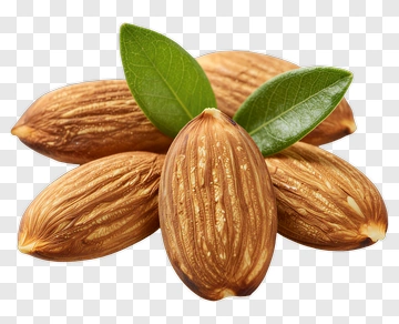 Almond With Green Leaf PNG