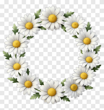 Daisy Wreath With Green Leaves PNG