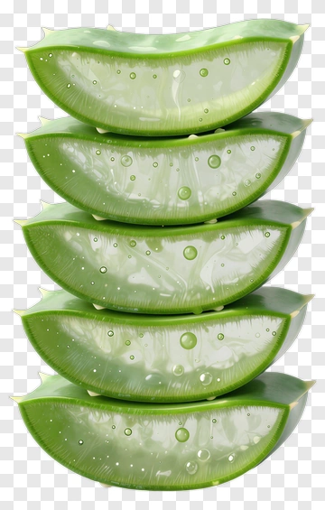 Stacked Aloe Vera Slices PNG