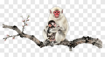 Mother And Baby Monkey On Branch PNG