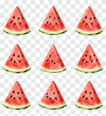 Watermelon Slices Watercolor Illustration PNG