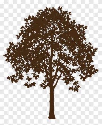 Brown Tree Silhouette PNG