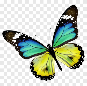 Colorful Butterfly In Flight PNG
