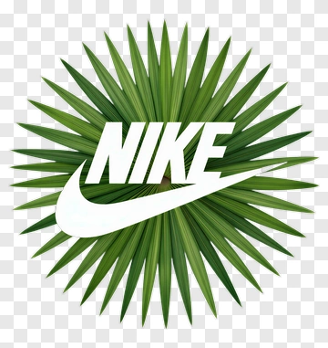 Nike Logo With Palm Leaf Background PNG