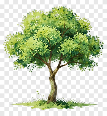 Watercolor Tree With Green Leaves PNG