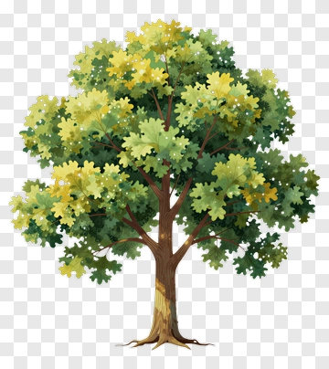 A Tree With Green And Yellow Leaves PNG