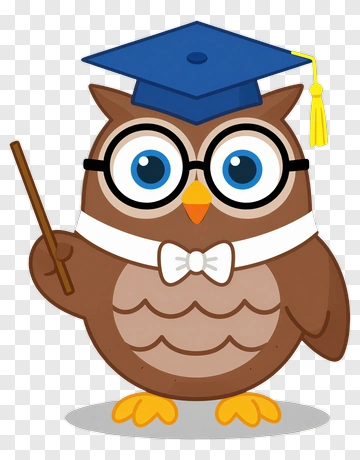 Graduation Owl With Academic Attire PNG