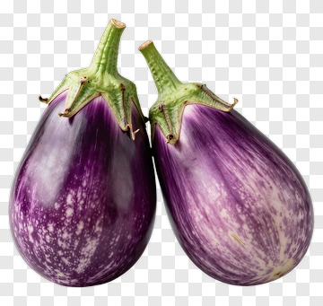 Two Eggplants PNG
