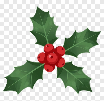Holly With Red Berries PNG