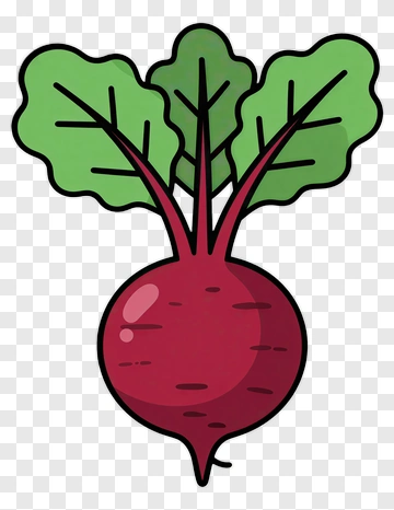 Illustration Of A Beetroot With Green Leaves PNG