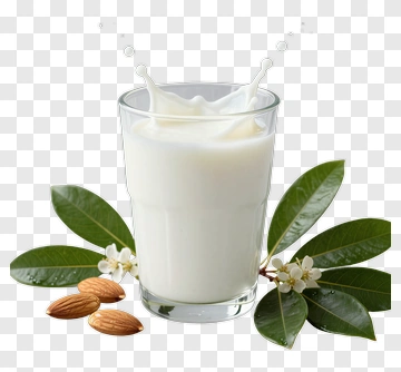 Milk Splash With Almonds And Leaves PNG