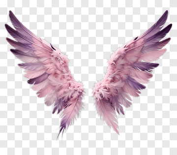 Pink And Purple Angel Wings PNG