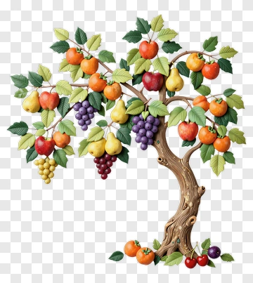 Fruit Tree Wall Decor PNG
