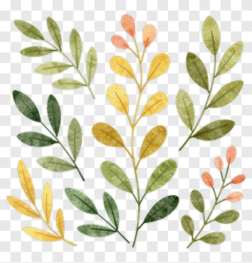 Watercolor Leaves And Plant Design PNG